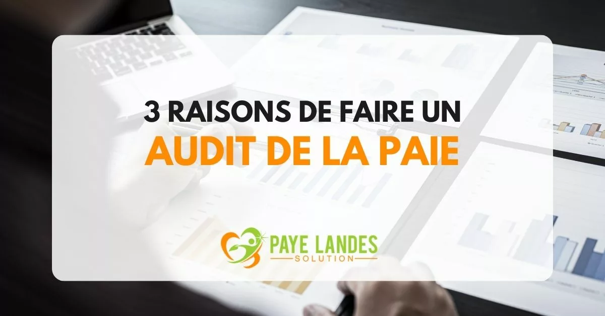 Pourquoi auditer vos bulletins de paie ? - Paye-Landes-Solution